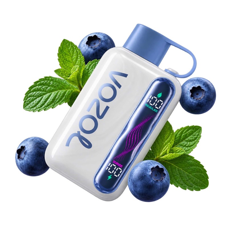Vozol Star 40000 Blueberry Mint